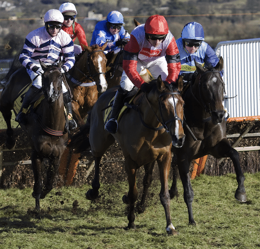 Cheltenham Day One Signup Offers and Free Bets